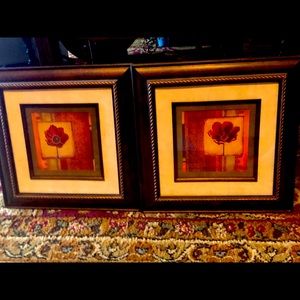 2 Framed Art pieces